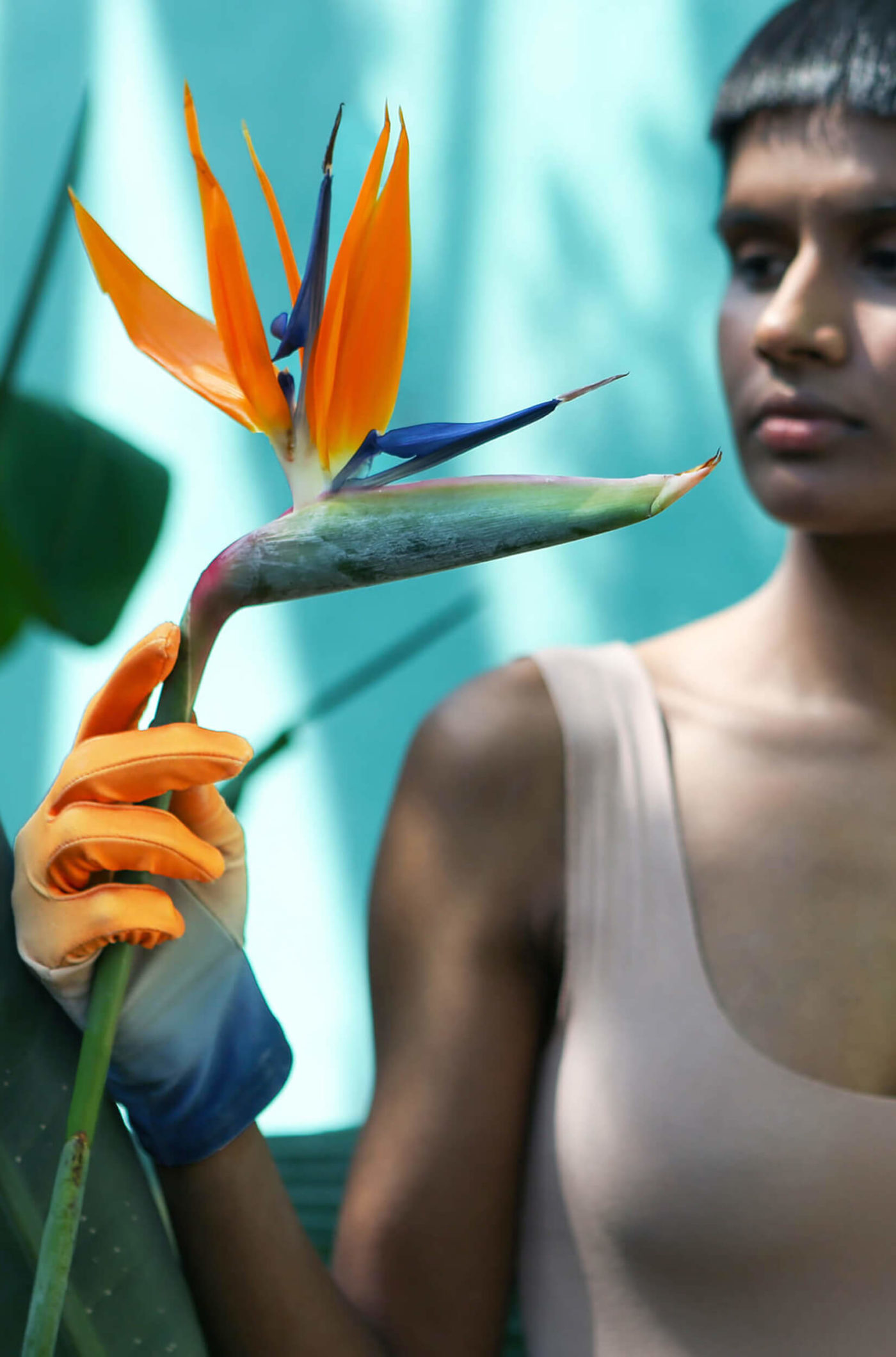 hot-house-series_MarinaCavadini_LDEF_07 Lycra with Strelitzia reginae