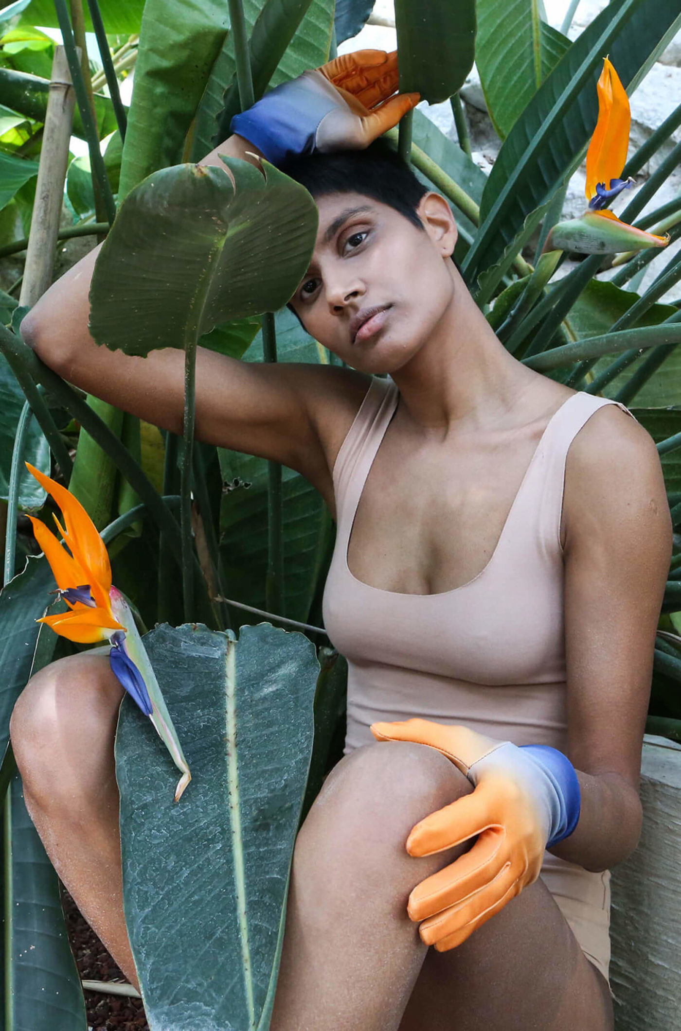 hot-house-series_MarinaCavadini_LDEF_10 Lycra with Strelitzia reginae